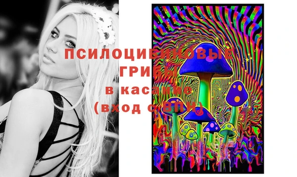 ГАЛЛЮЦИНОГЕННЫЕ ГРИБЫ Саяногорск