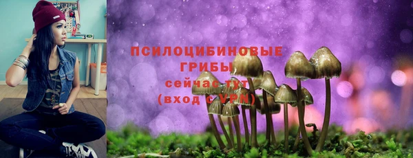 ГАЛЛЮЦИНОГЕННЫЕ ГРИБЫ Саяногорск